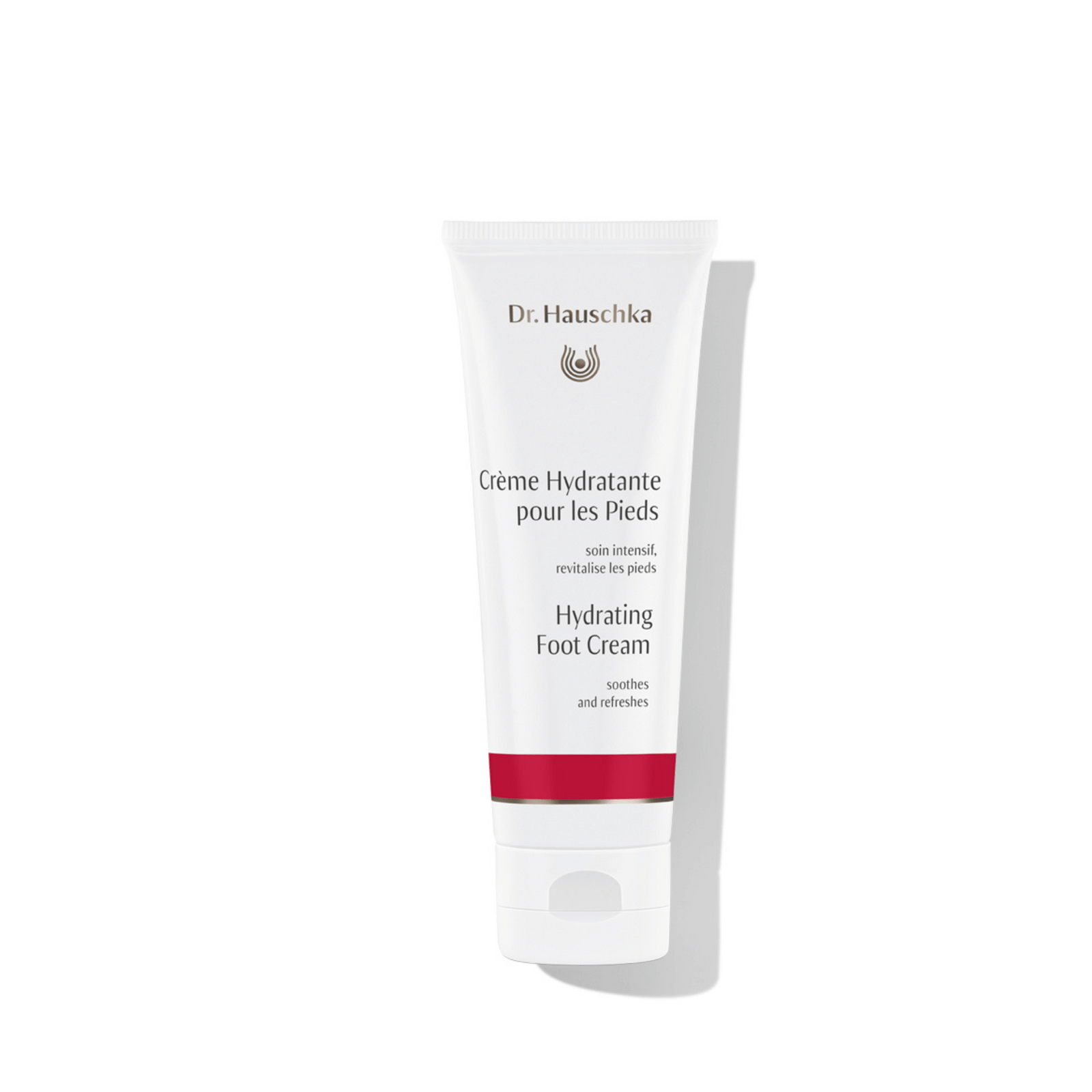 dr hauschka foot cream