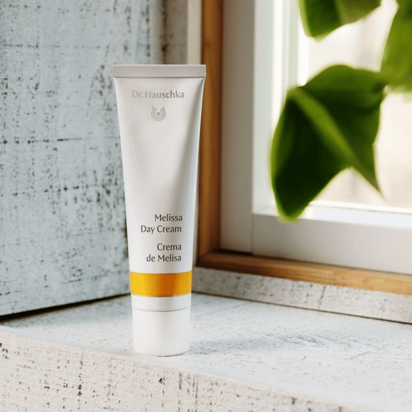 Dr. Hauschka Melissa Day Cream