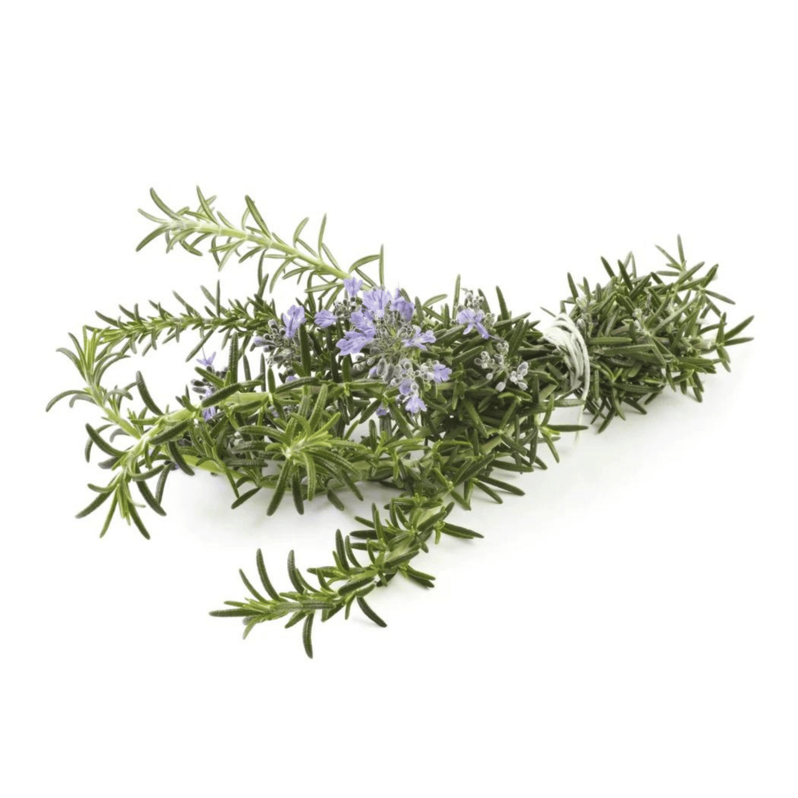 lavender twigs
