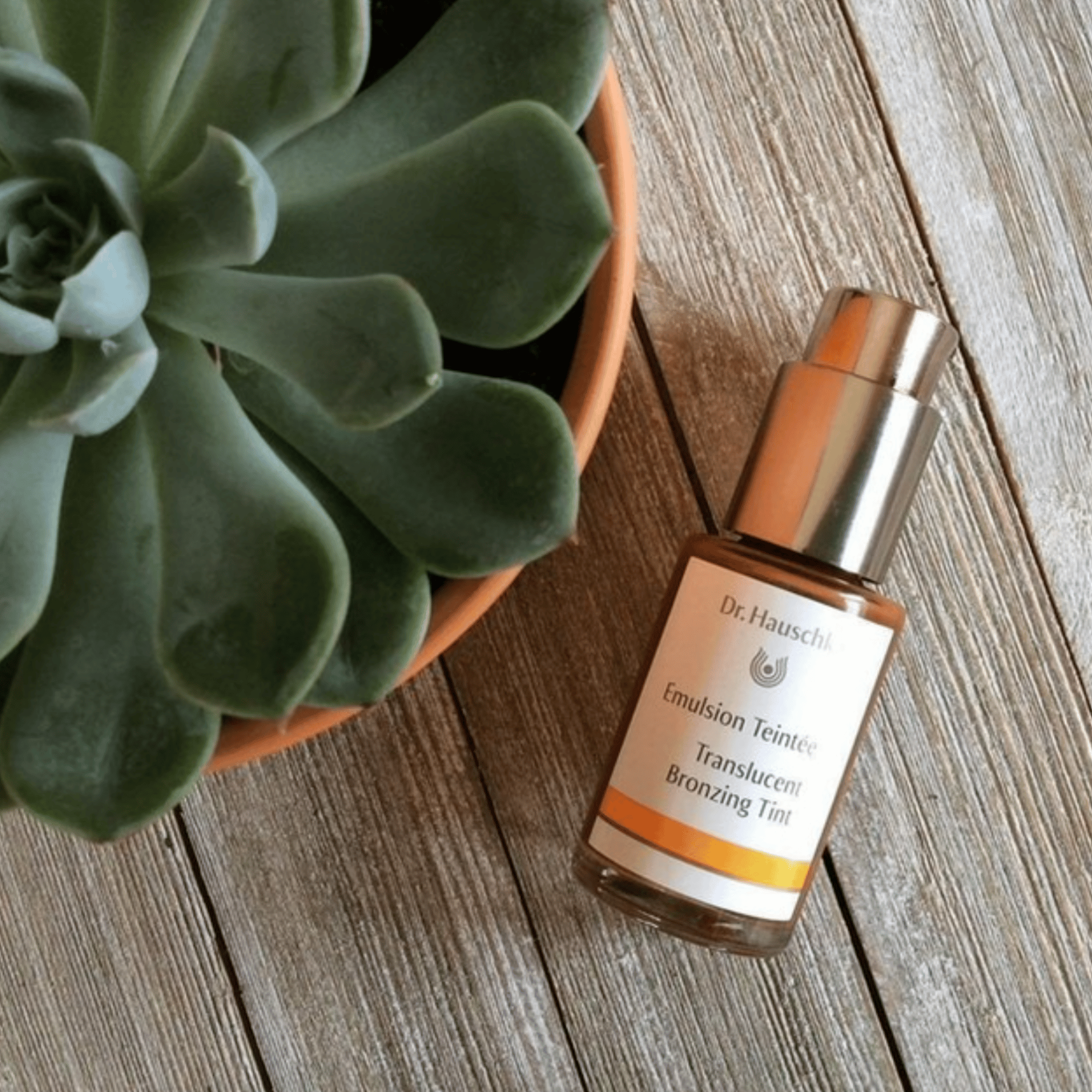 Dr. Hauschka Translucent Bronzing Tint Lilou Organics