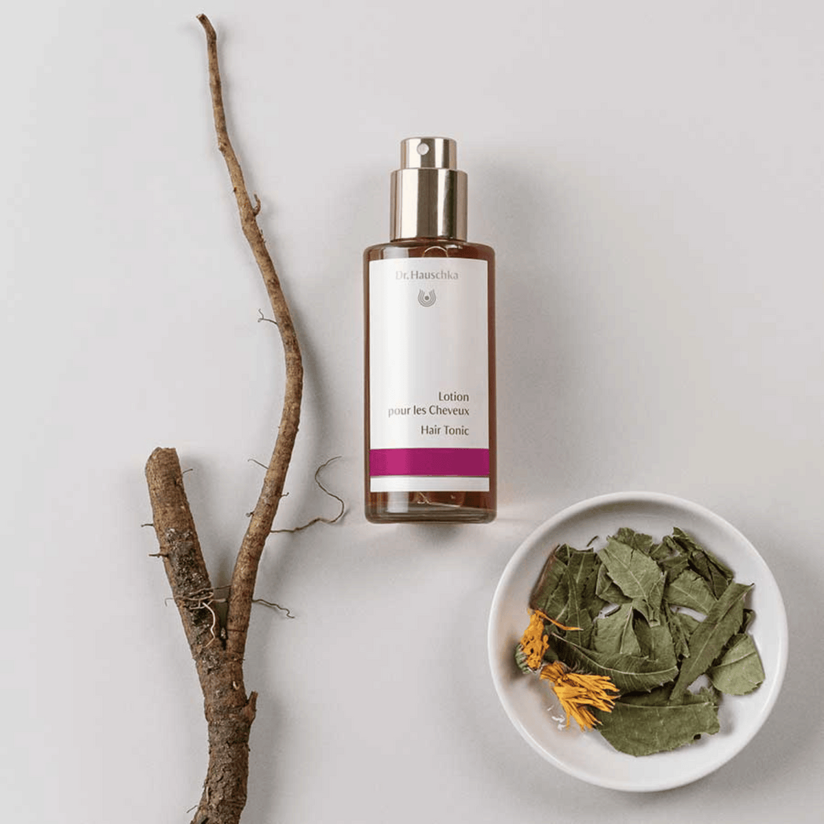 dr hauschka hair tonic with branches