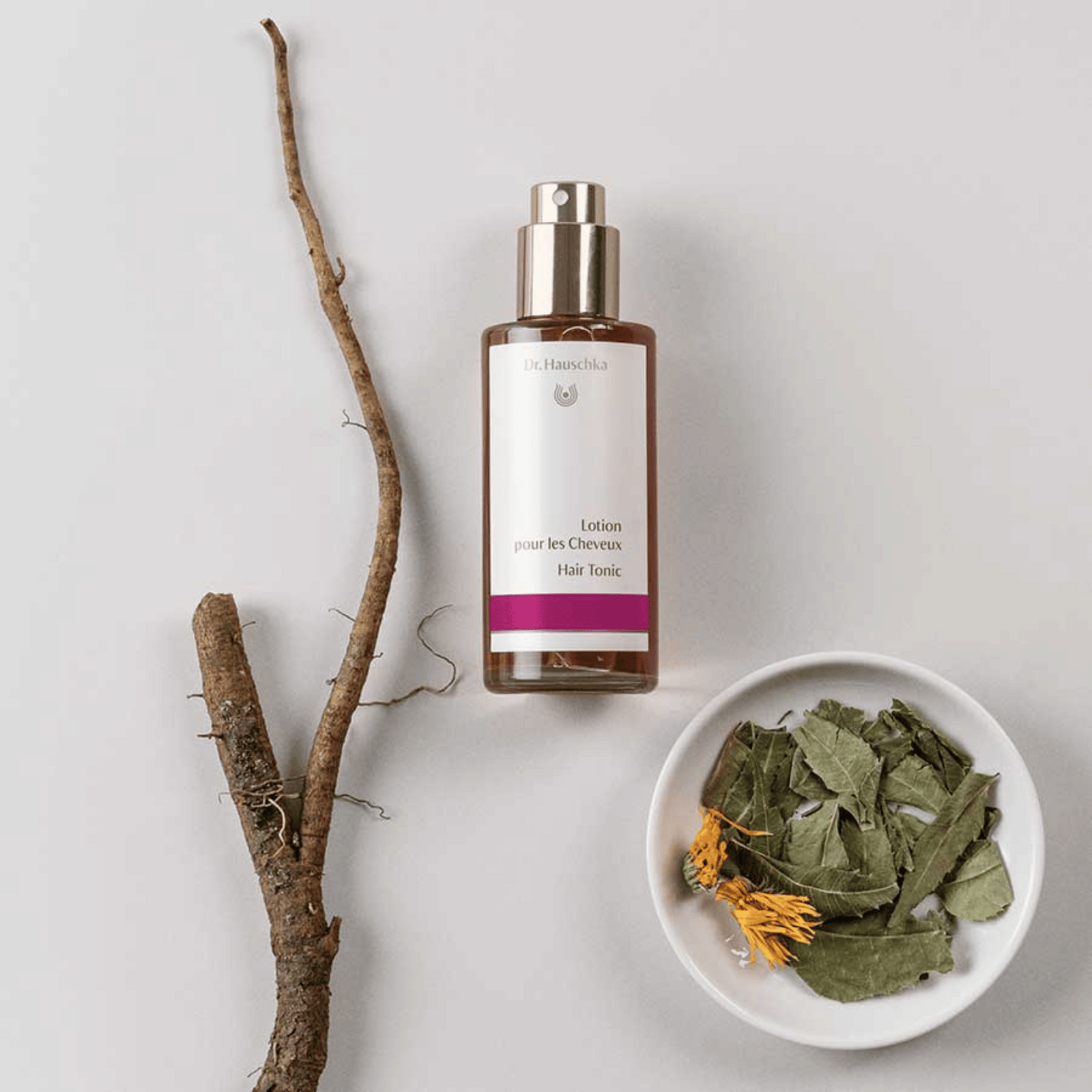 dr hauschka hair tonic with branches