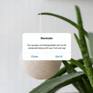 biodegradable konjac sponge