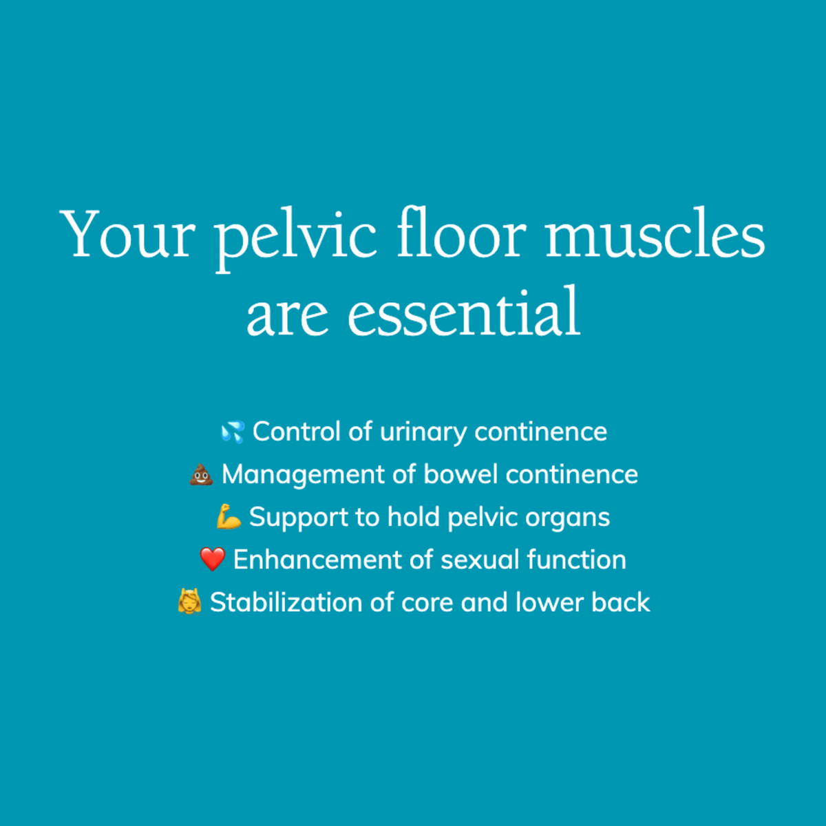 Perifit Kegel Exerciser