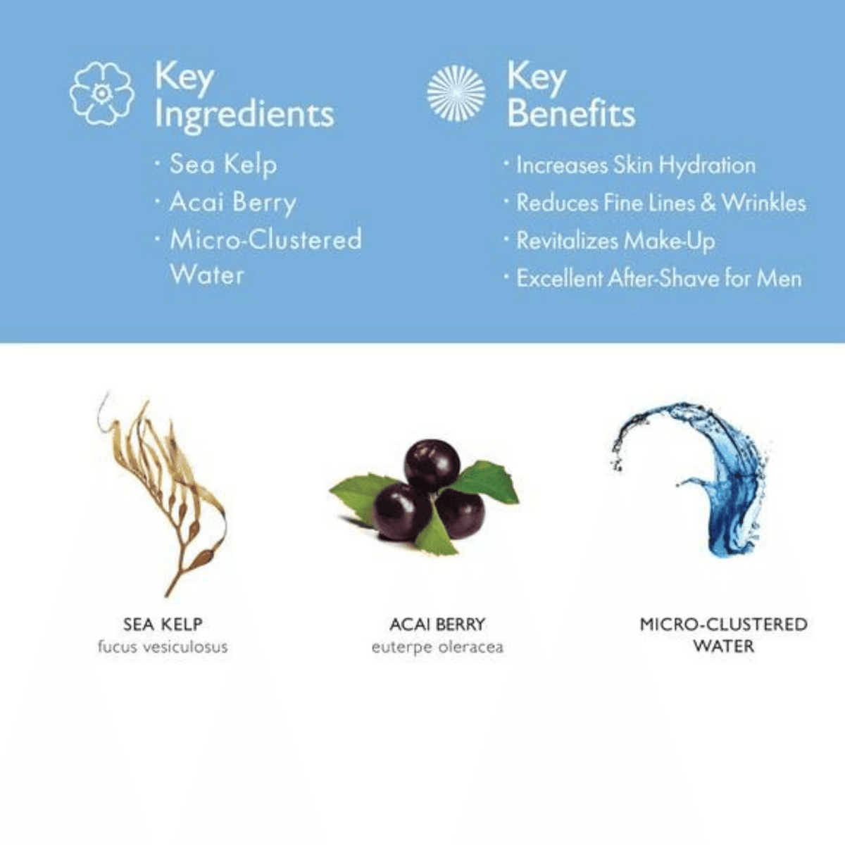 Body Deli Hydramist Key Benefits