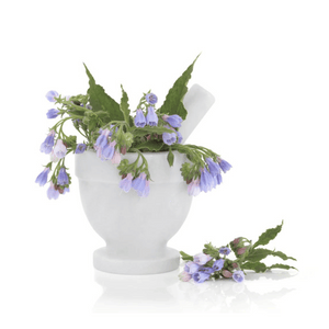 comfrey plant white jar