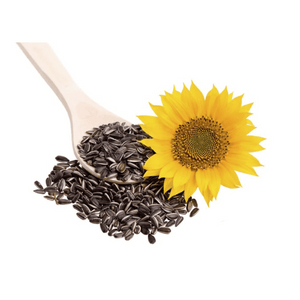 sunflower seeds and flower