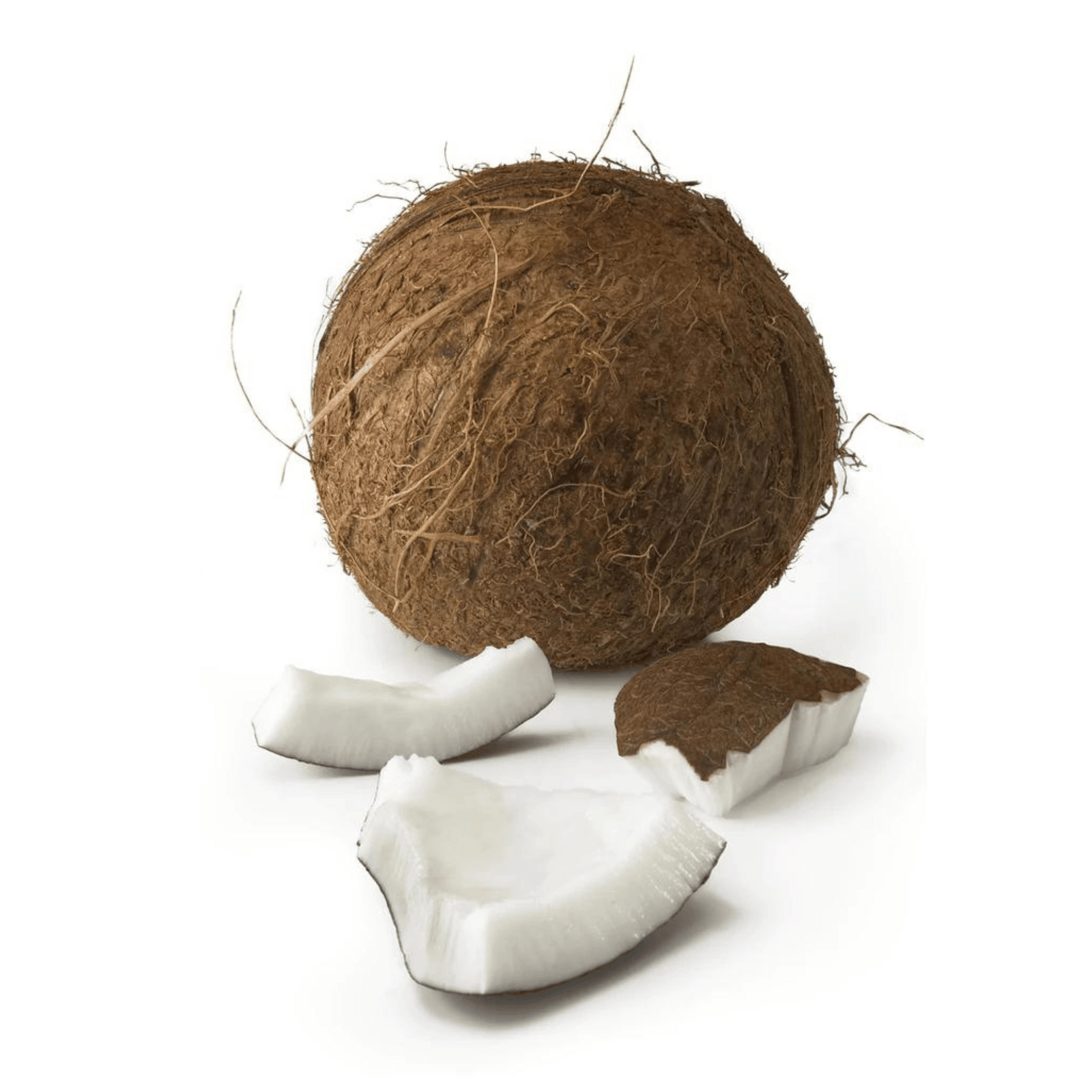 coconuts