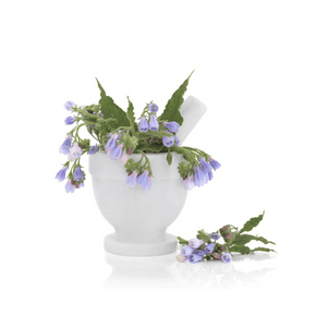 comfrey flowers in pot