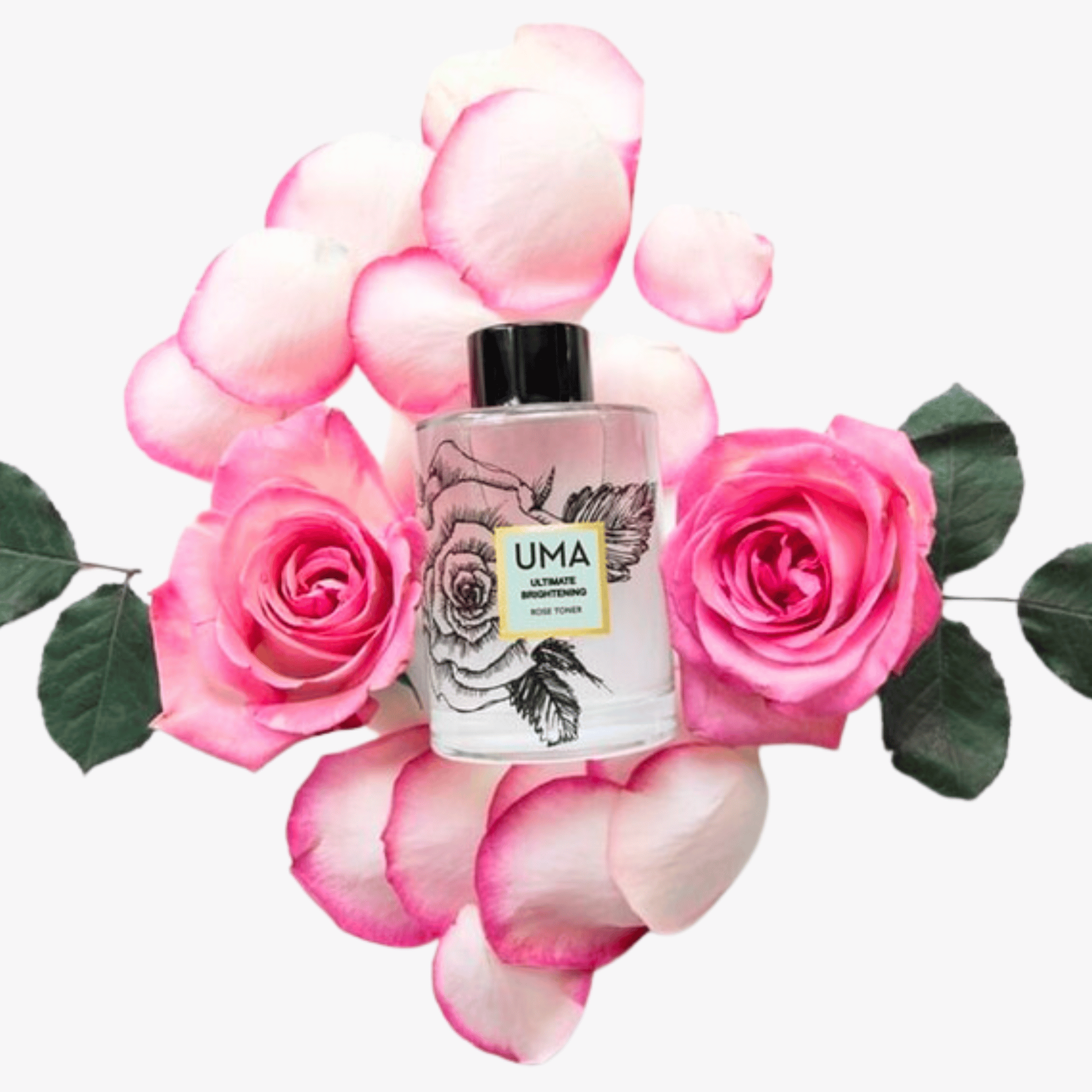uma rose toner with roses on home page
